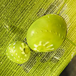 Smaragdia viridis