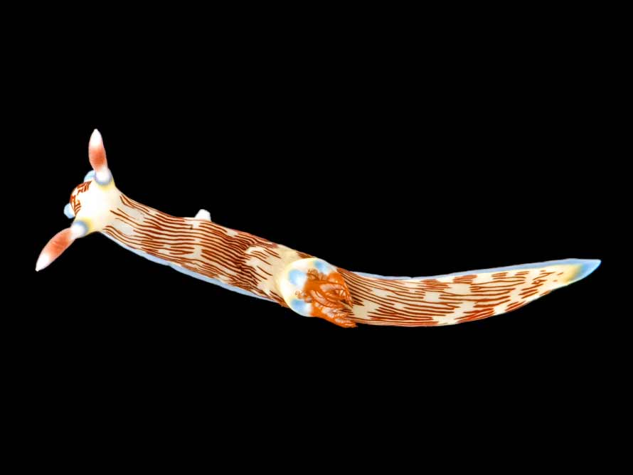 Nembrotha lineolata