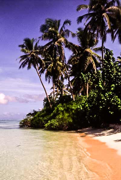 Maldives beach