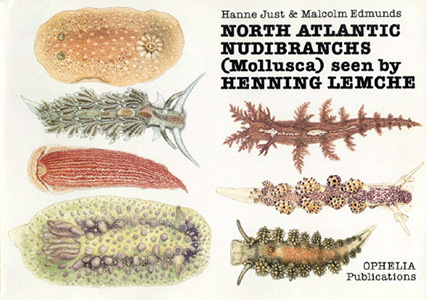 Ne Atlantic Nudibranchs - Lemche