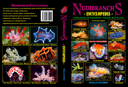 Nudibranchs encyclopedia