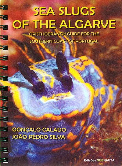 Sea Slugs of the Algarve