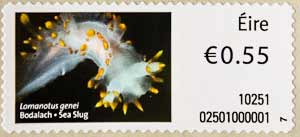 Irish Stamp